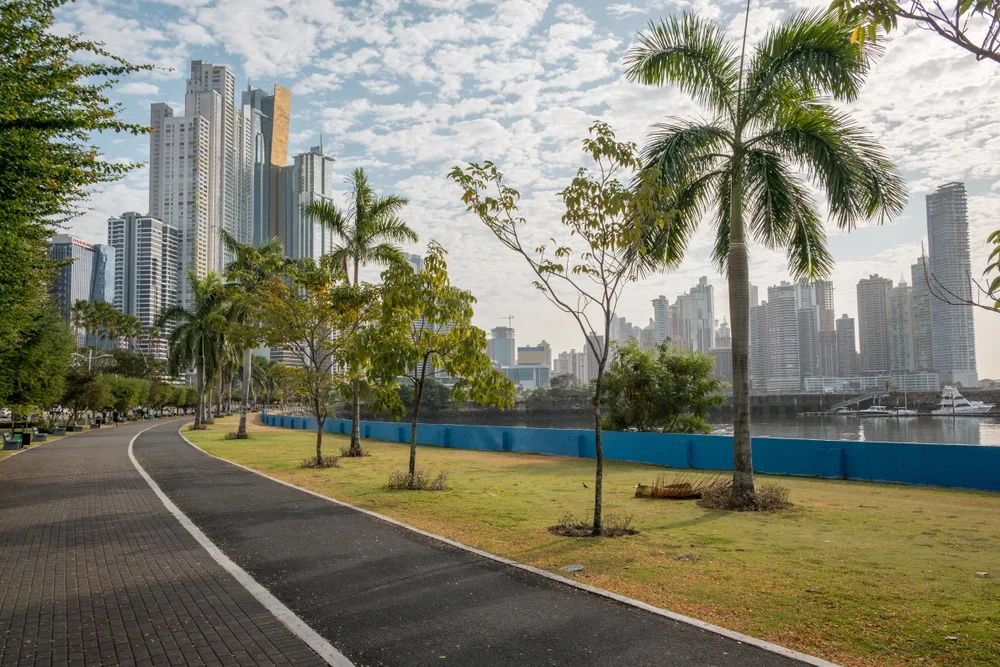Promenade oceanwalk in Panama City pictured for a guide titled Is Panama Safe to Visit featuring trees lining the street and a semi-empty park with tall buildings behind it