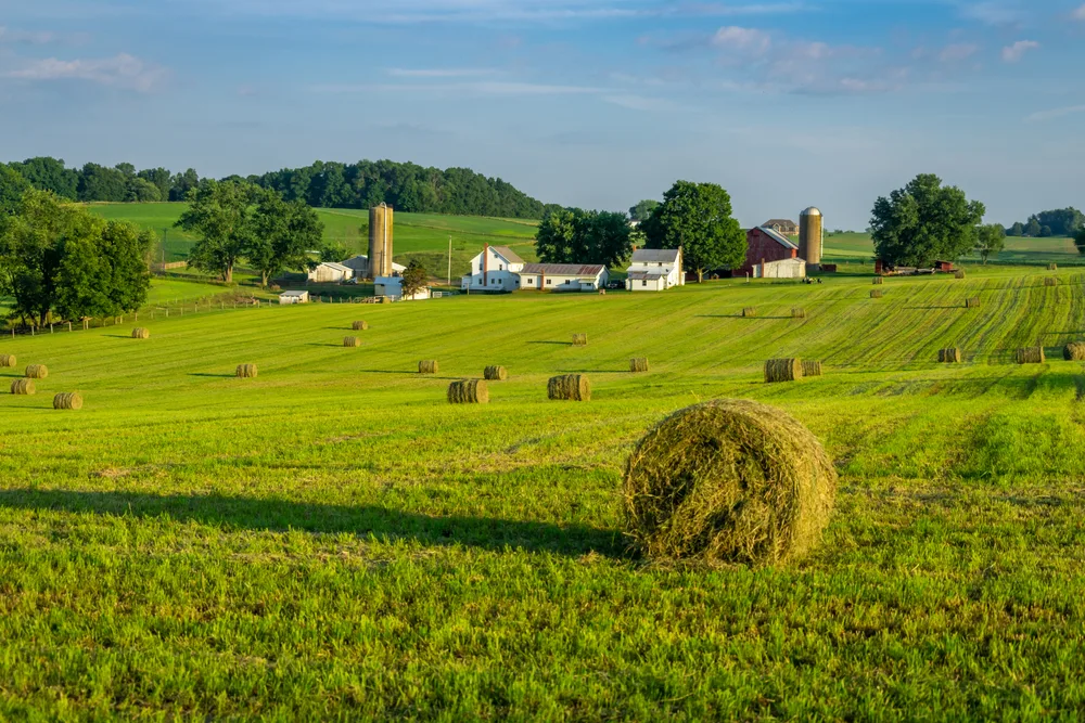 Round hay bales pictured on a farm in PA