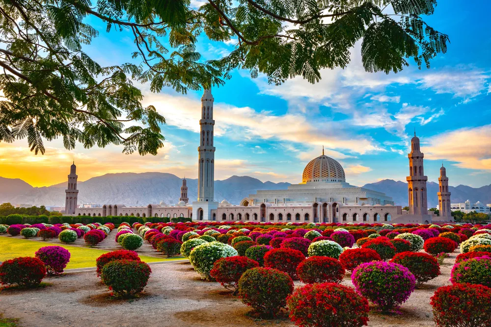 Gorgeous morning view of the Grand Mosque in Muscat, pictured from behind some trees with colorful plants on the ground for a guide titled Best Time to Visit Oman