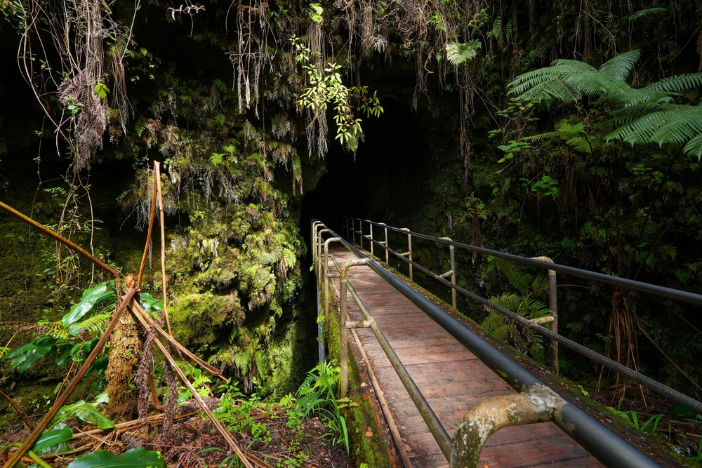 Wooden foot bridge surrounded by vegetation pictured for a guide titled best time to visit Kilauea