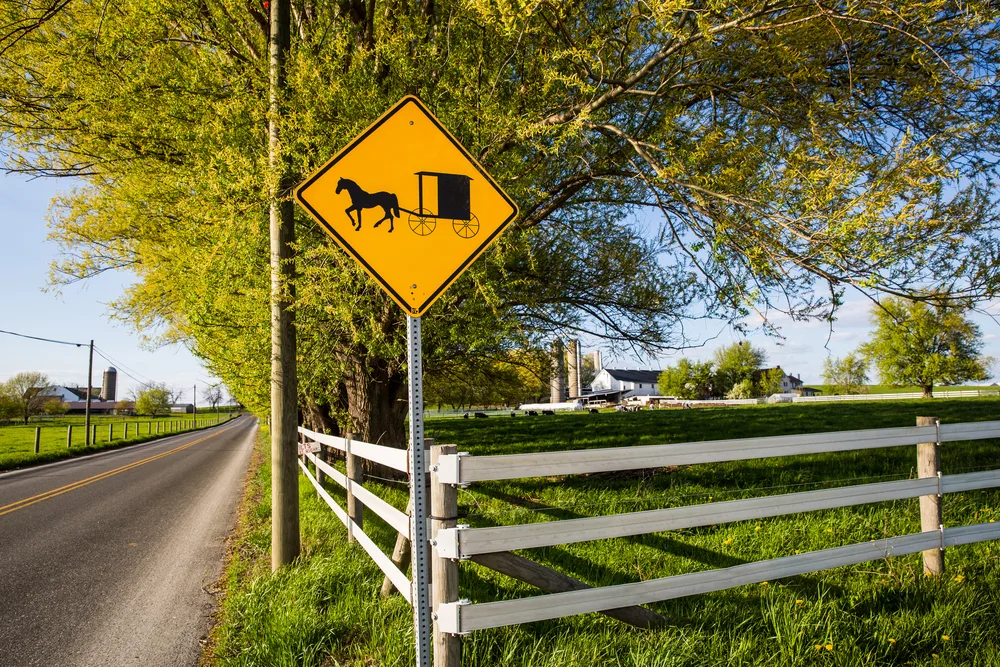 Horse and buggy crossing in yellow color on the side of a postcard-worthy cement road next to a wooden fence, seen during the best time to visit Amish Country, PA