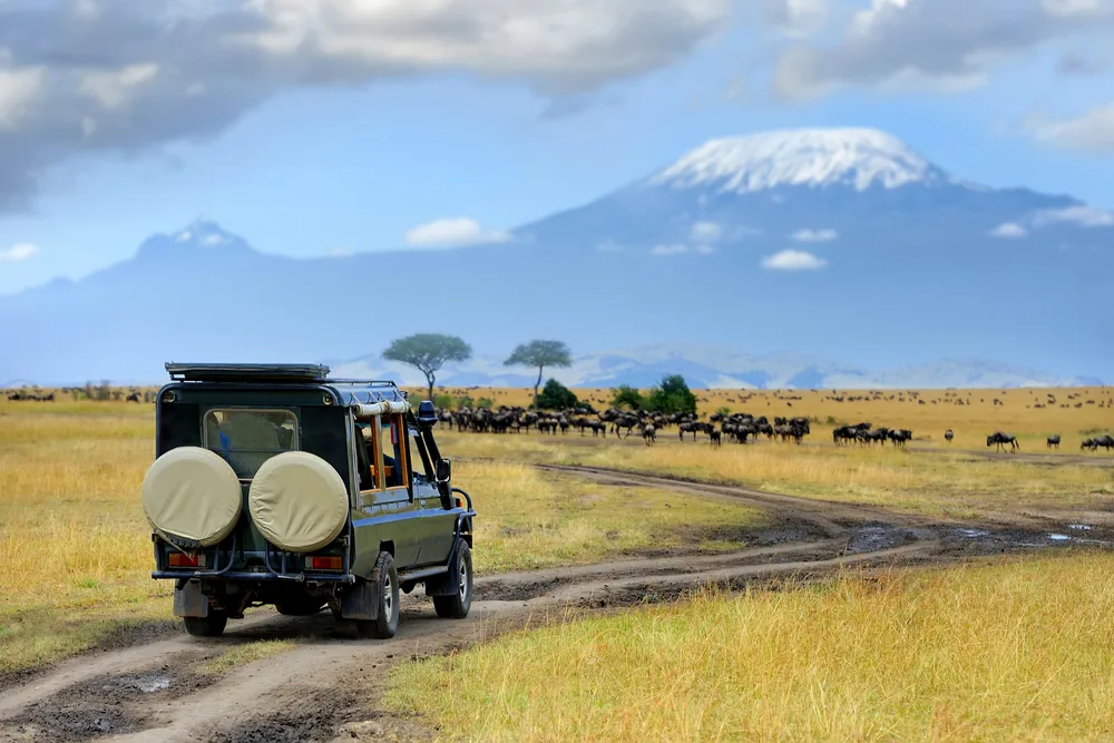 Mount Kilimanjaro pictured in the background of a scene of people on safari