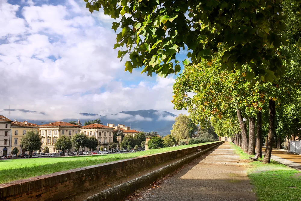 Lucca's medieval era walls surrounding the city shown covered in grass as a greenway for bikes and walking in a list of the best cities to visit in Italy