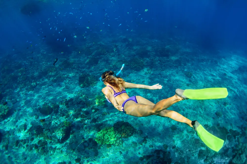 Gorgeous woman in a blue bikini and flippers snorkeling in the Bahamas, one of the best things to do there