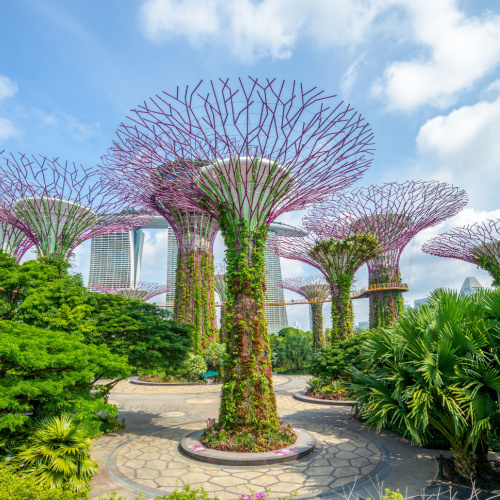 a beautiful structure that imitates a tree in a garden, seen during the best time to visit Singapore.