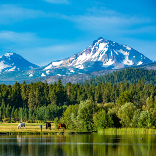 a view from the lake during one of the best time to visit Oregon, where wild horses can be seen grazing on the grass in a meadow beside a forest, and in background are tall icy mountains.