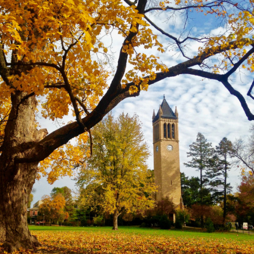 a tower in the middle of the park surrounded by trees during the autumn season of the best time to visit Iowa.