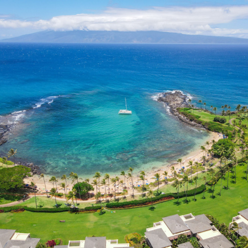 aerial view of a beach with tall palm trees and and clear waters, the land area is covered with green grass, seen during an afternoon of the best time to visit Maui.