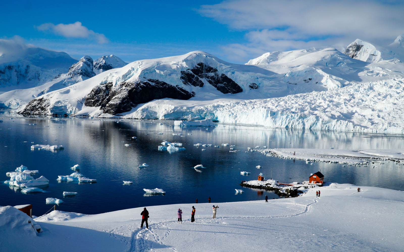 The Best & Worst Times to Visit Antarctica in 2024 (Our Take)