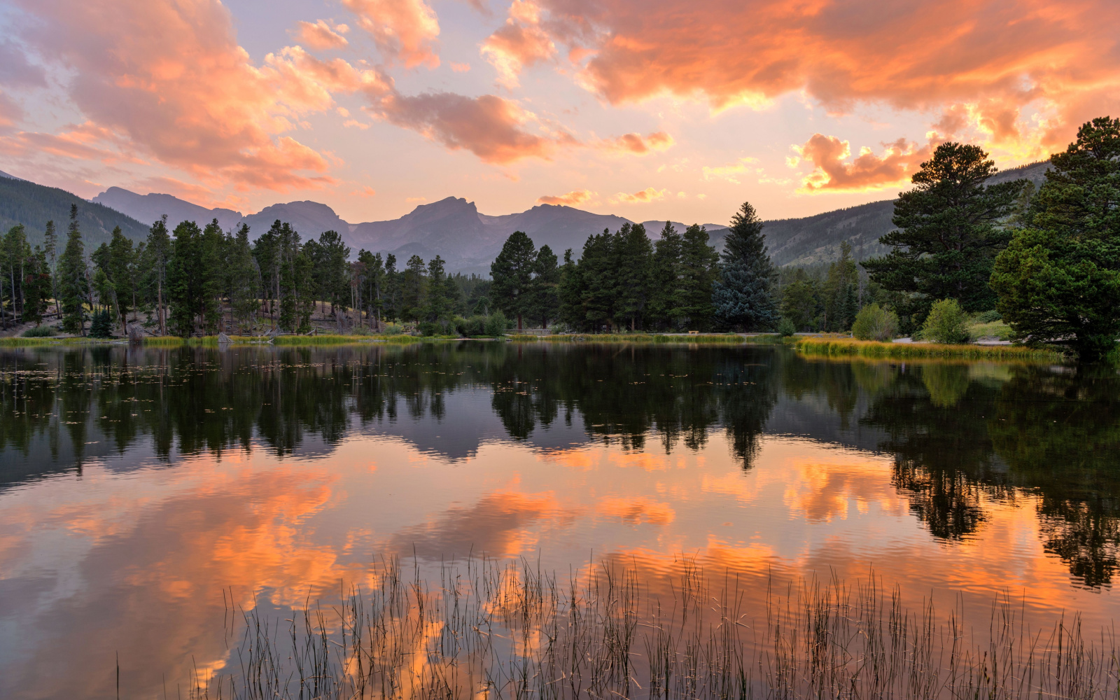 The Best & Worst Times to Visit Rocky Mountain National Park in 2024