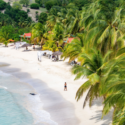 a calm afternoon at the beach with white sand and many palm trees, during the best time to visit Haiti.