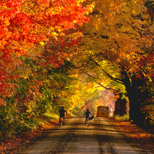 two boys chasing on a school at a country road where both sides of the road are surrounded by trees during an autumn season on one of the best time to visit Vermont.