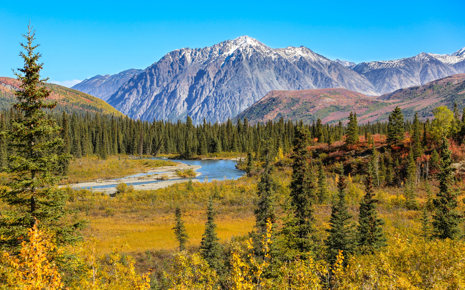 The Best Time to Visit Denali National Park in 2024