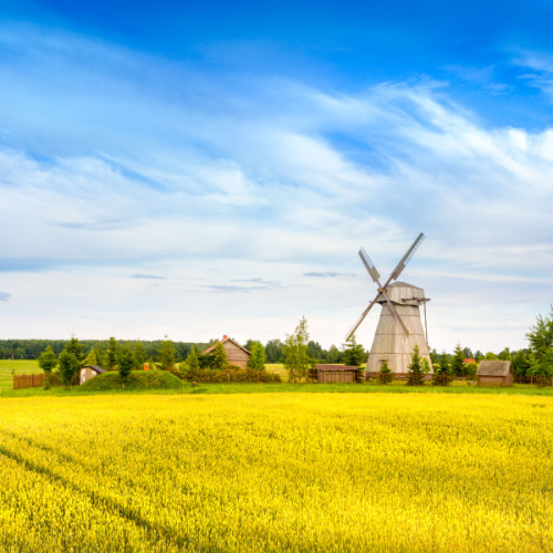 a peaceful scenery during the best time to visit Belarus in country area where houses with old windmill is surrounded by green plants.