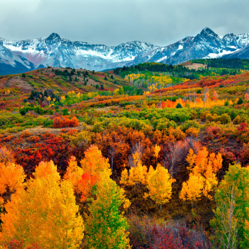 view of a park during autumn in the best time to visit Colorado, and in background are icy mountains.