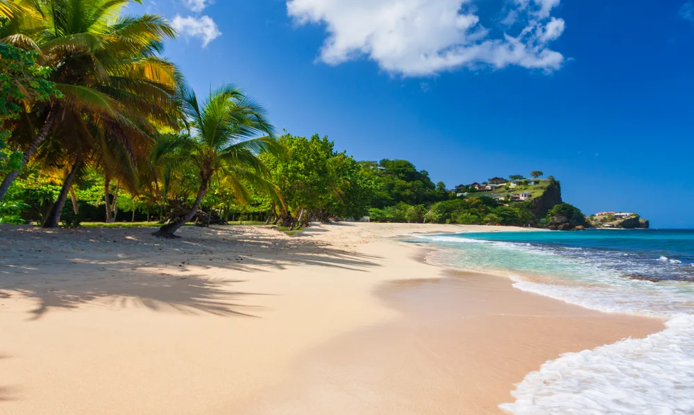 Gorgeous white sand beach with trees on one side and waves lapping the sand on the other on Grand Anse, pictured during the best time to visit Grenada