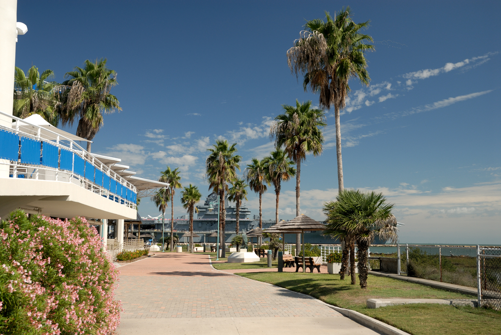 View from the Texas State Aquarium, pictured during the least busy time to visit Corpus Christi, Texas, with palm trees lining the brick sidewalk that runs along the pier where you can see a big navy boat floating on the water