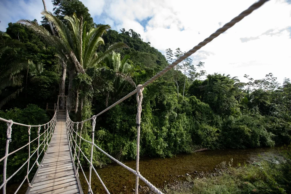 Gloomy day during the worst time to visit Belize, monsoon season, with a suspension bridge spanning a river