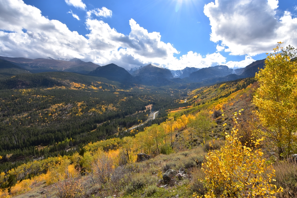 Nice view of the golden and orange fall foliage pictured in autumn, the overall least busy time to visit Rocky Mountain National Park