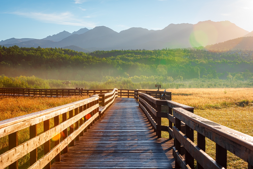 Gorgeous wooden boardwalk leading to the Potter Marsh Bird Sanctuary pictured during the overall best time to visit Anchorage, Alaska, with green vegetation and mist on the horizon