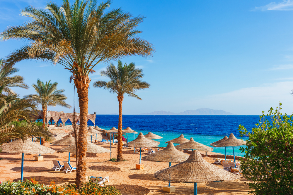 Gorgeous sunny day with palm-lined beaches in Sharm el Sheik, pictured during the least busy time to visit Egypt