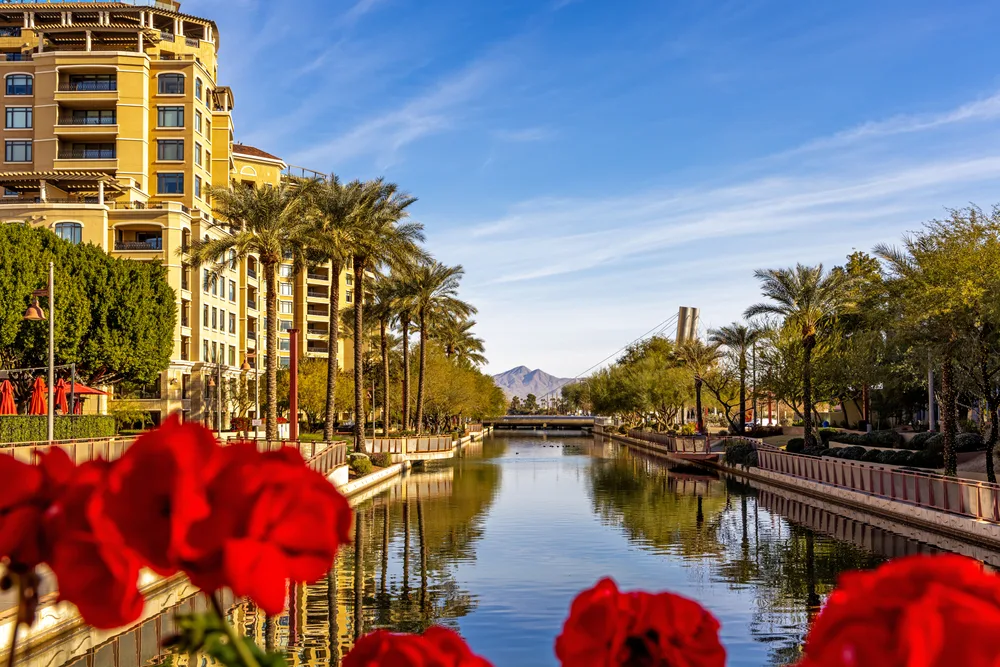 Photo of the canal pictured in the spring, the best time to visit Scottsdale, with blue skies overhead and still water with flowers in the foreground