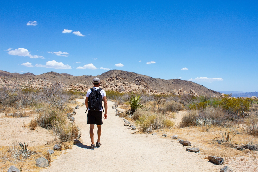 Man hiking in the middle of Joshua Tree National Park on Arch Rock Trail