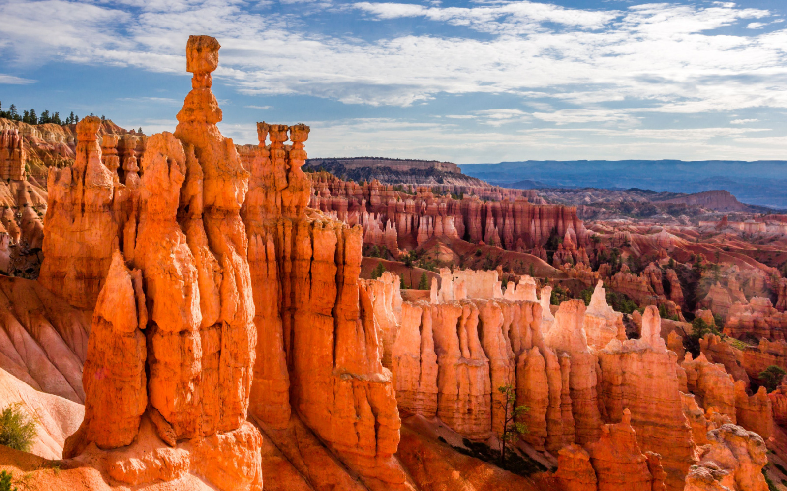 The Best & Worst Times to Visit Bryce Canyon in 2024