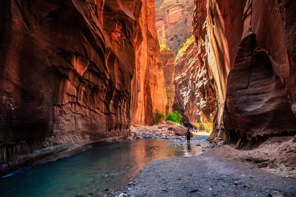 Guy walking through the Narrows in the summer, the overall worst time to visit Zion National Park, pictured with light beaming in from above