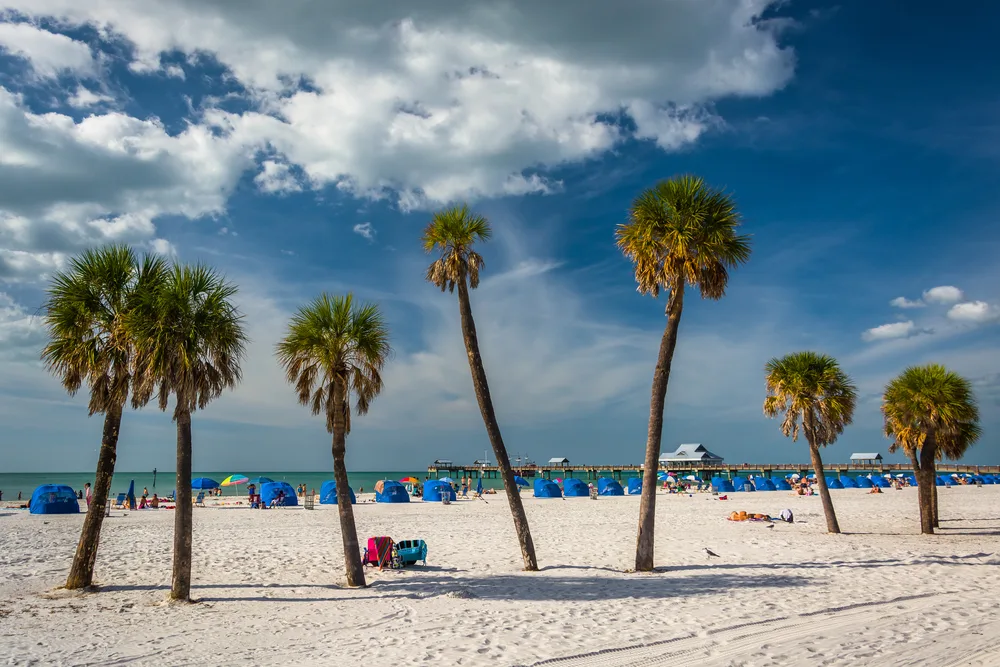 Palm trees pop up from the white sand on the beach below deep blue sky during the best time to visit Clearwater Florida