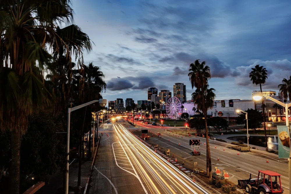 Long exposure image of cars driving by the camera at night under a nice light sky with palm trees towering over the road