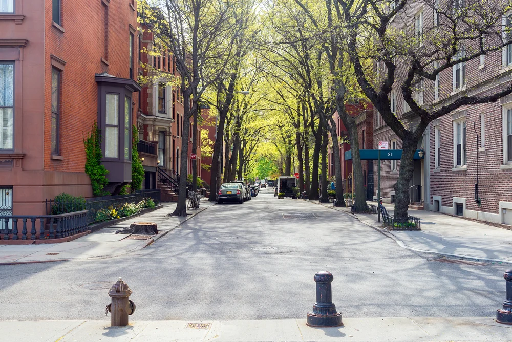 Photo of a street in Brooklyn pictured under trees with homes on either side