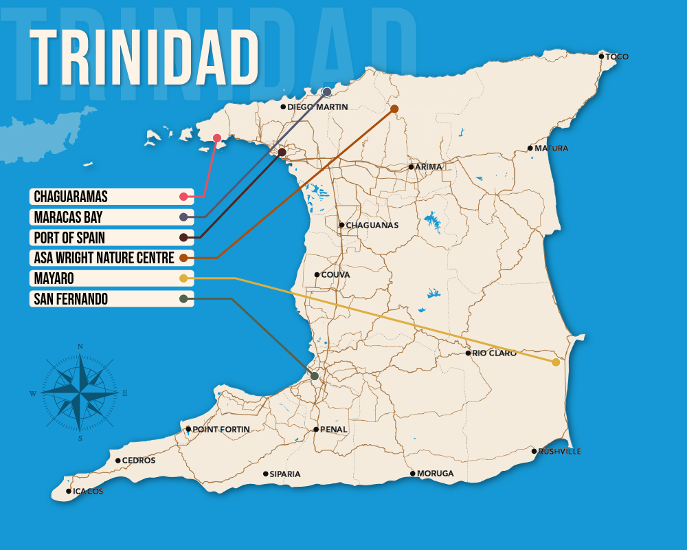 Vector map showing where to stay in Trinidad featuring the best areas in graphical format