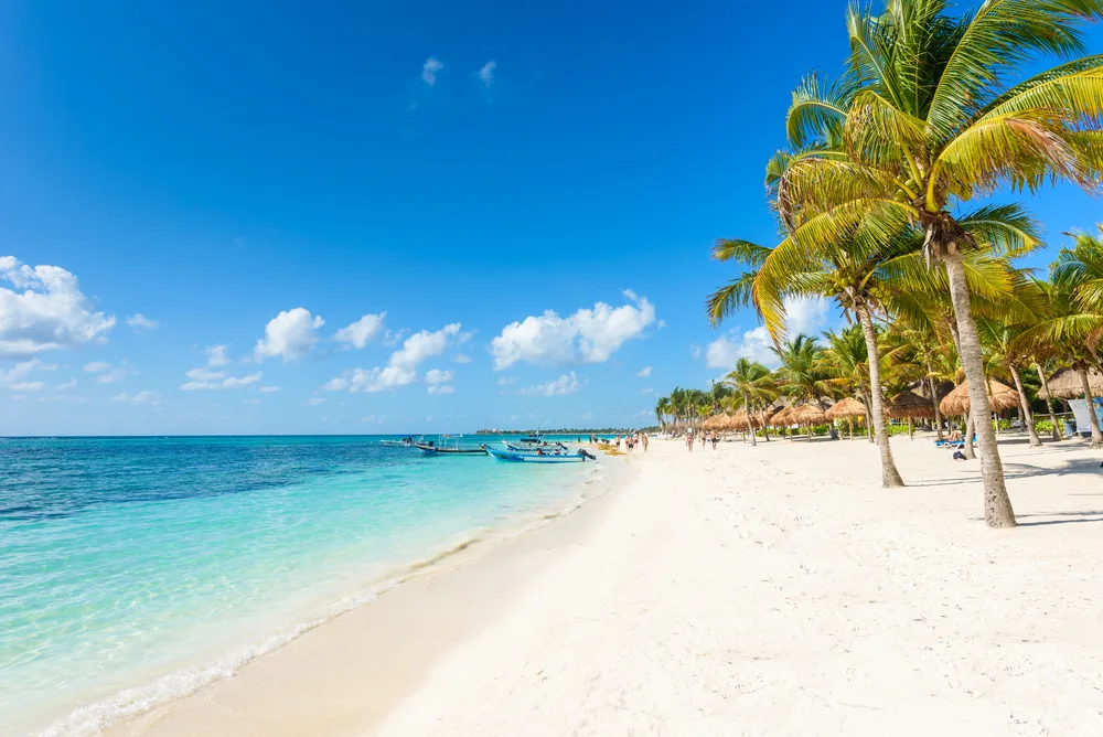 Empty white sand beach pictured below a deep blue sky with palm trees on the shore during the overall best time to visit Mexico, the winter