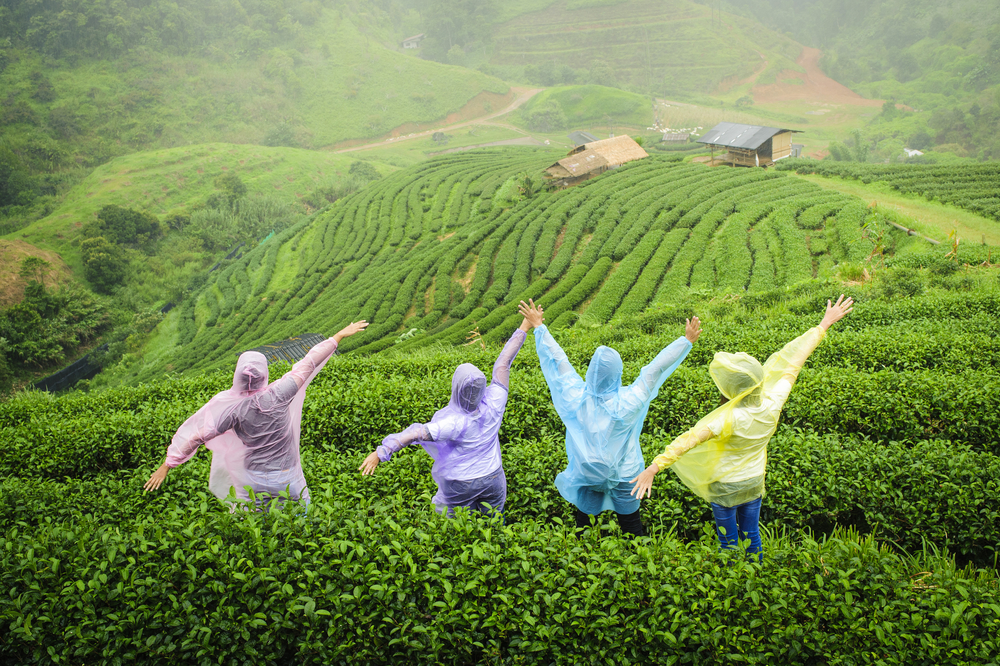 Woman in pastel colored ponchos stand in the middle of a tea plantation and hold their arms up during the rainy season, one of the worst times to visit Thailand