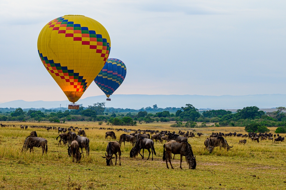 Balloon safari in Maasai Mara National Reserve with colorful hot air balloons during the Great Wildebeest Migration, the best time to visit Kenya overall