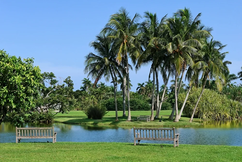 Fairchild Tropical Botanic Garden with benches in front of a pond lined with palm trees during the overall best months to visit Miami for a frequently asked questions section
