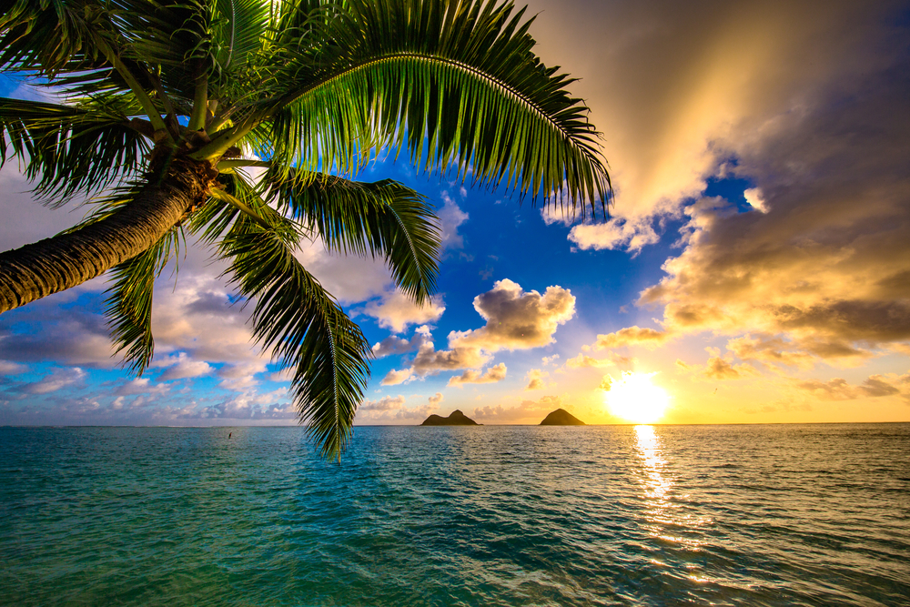 View looking out from Lanikai on Kailua Beach at sunrise during the best time to visit Hawaii with mountainous islands in the distance and palm tree in the foreground