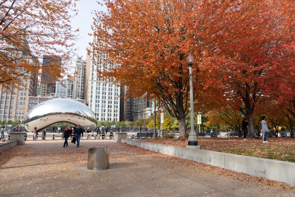 Photo of the bean at Millennium Park pictured during the fall, the overall best time to visit Chicago