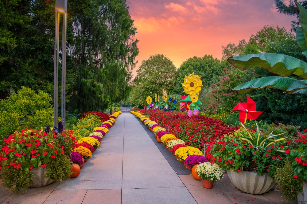 Photo of gorgeous colorful flowers pictured in Georgia during the worst time to visit