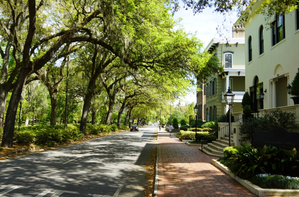 Cozy and warm road with a brick road next to it lined by tall trees pictured during the spring, the overall best time to visit Georgia