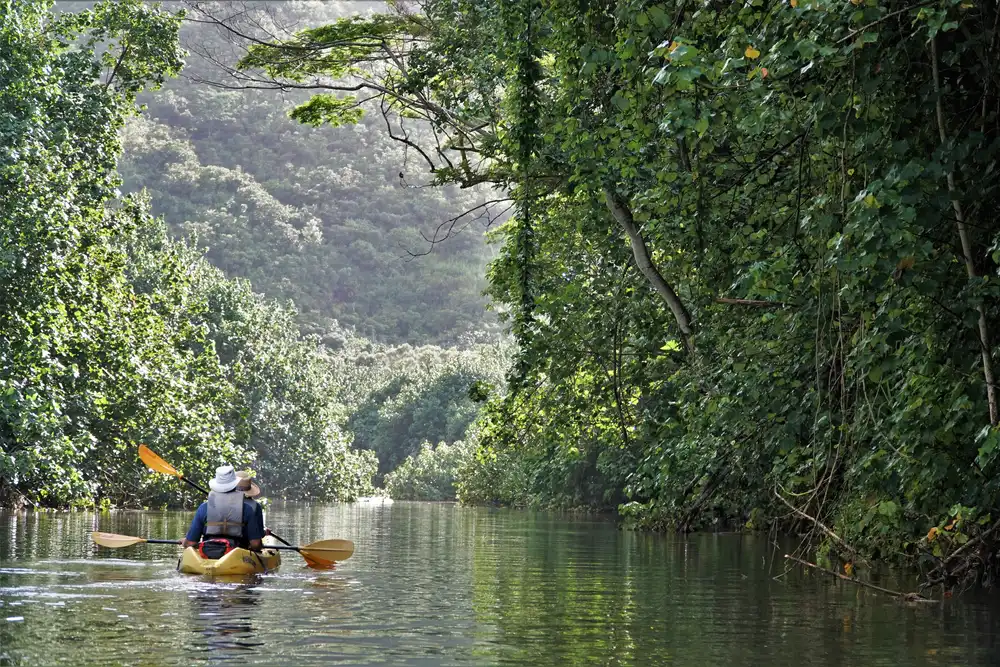 People on kayaks floating down the Wailua river, one of the best activities to do with a 5 day Kauai itinerary