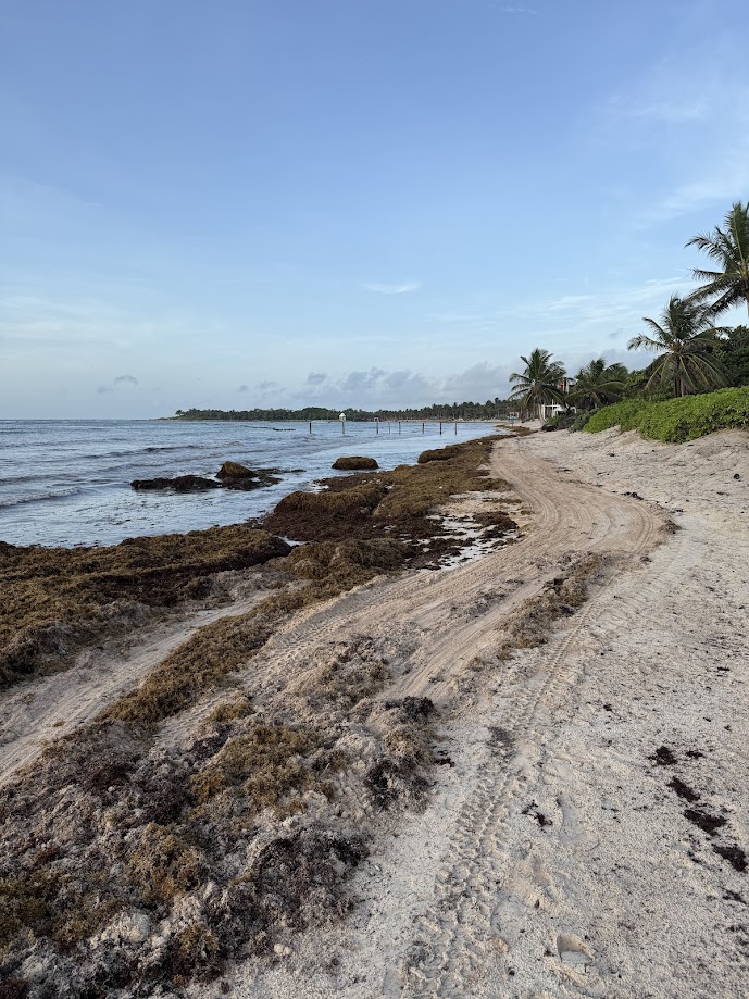 Beach to the right at UNICO Riviera Maya